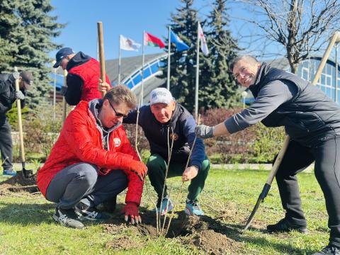 Зелень, порядок, команда: итоги субботника