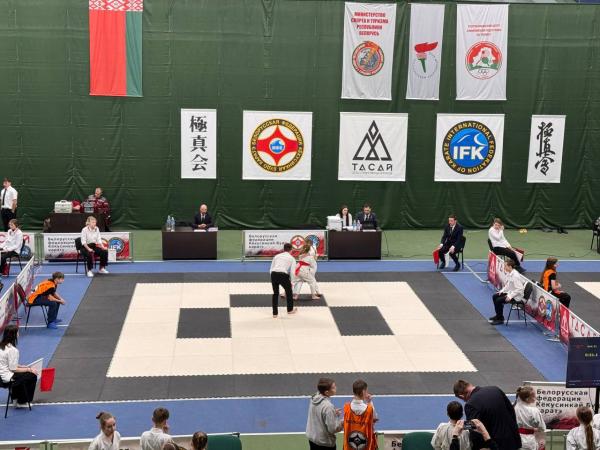 Спортивно - массовое мероприятие по каратэ Кекусинкай МОО «Тасай»