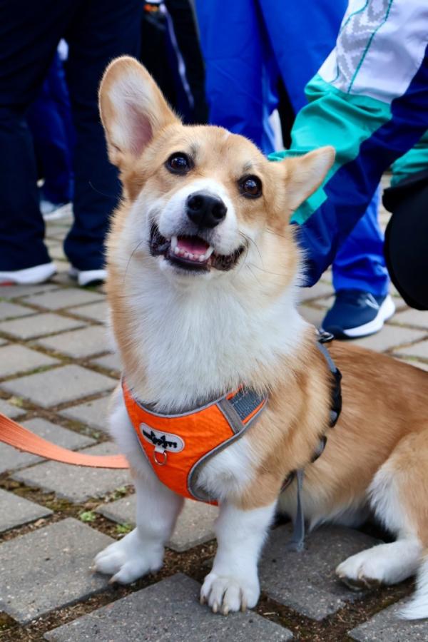 Республиканская спартакиада 2025