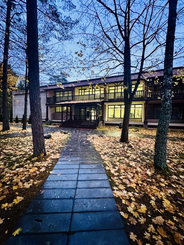 Яркий отдых: зоопарк, спорт и искусство