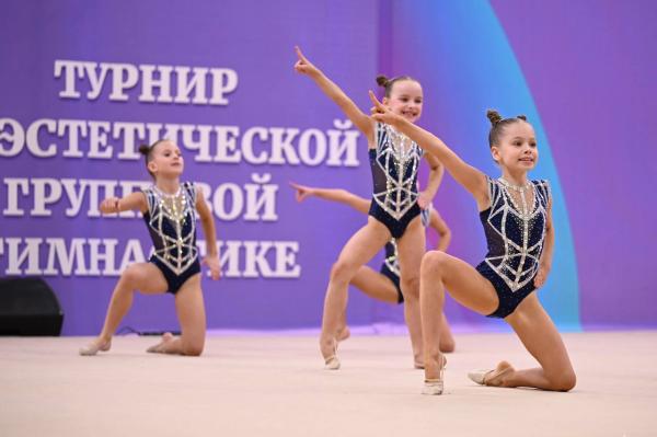 Турнир по эстетической групповой гимнастике “Сильфида — 2026”
